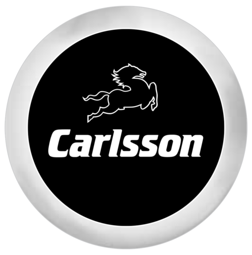 carlsson-logo-496x500-6947218-9064705-7620412-3761316-8976534