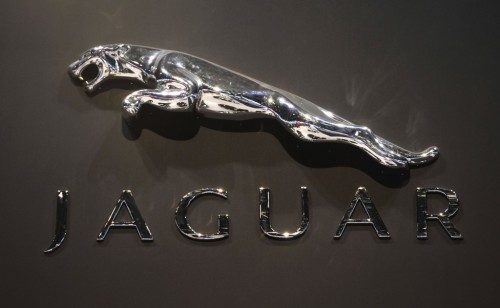 jaguar-symbol-3-500x308-7985697-1704601-4877902