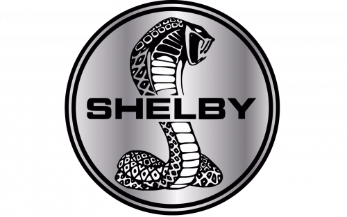 shelby-logo-500x313-9210685